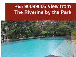 The Riverine By The Park (D12), Apartment #156975812